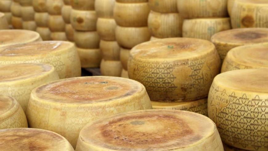 Il Consorzio che tutela la DOP Grana Padano ha aderito al Ce.Di.SA