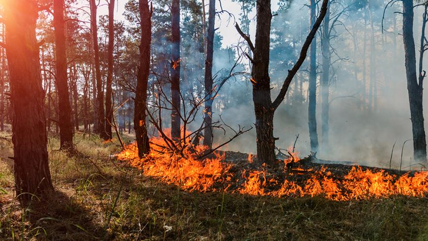 Il contenzioso climatico