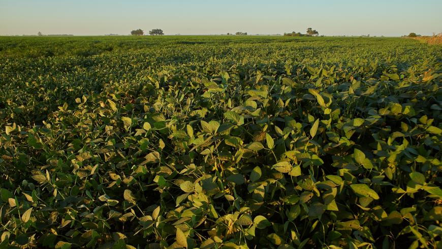 Immagine di locandina